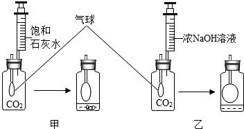 研究性学习小组中的小张同学在学习中发现:通常检验CO2用饱和石灰水,吸收CO2用浓NaOH溶液.【实验探究】在体积相同盛满CO2的两集气瓶中,分别加入等体积的饱和石灰水和浓NaOH溶液,实_作业帮